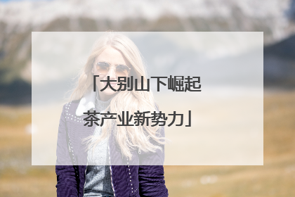大别山下崛起茶产业新势力