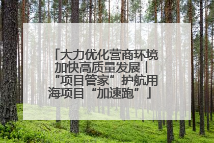 大力优化营商环境 加快高质量发展丨“项目管家”护航用海项目“加速跑”