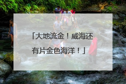 大地流金！威海还有片金色海洋！