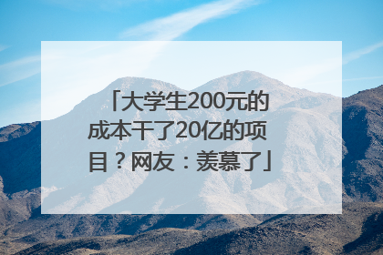 大学生200元的成本干了20亿的项目？网友：羡慕了