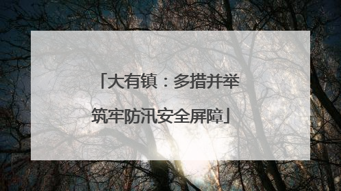 大有镇：多措并举筑牢防汛安全屏障
