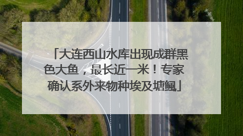 大连西山水库出现成群黑色大鱼，最长近一米！专家确认系外来物种埃及塘鲺