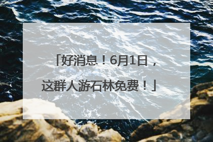 好消息！6月1日，这群人游石林免费！