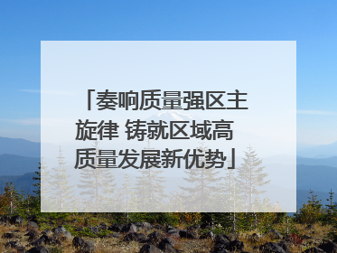 奏响质量强区主旋律 铸就区域高质量发展新优势