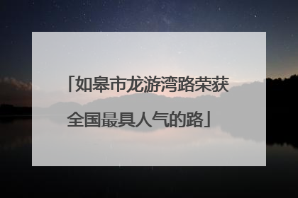 如皋市龙游湾路荣获全国最具人气的路