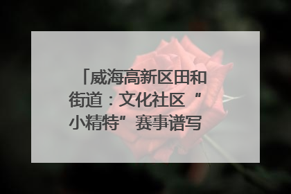 威海高新区田和街道：文化社区“小精特”赛事谱写文化赋能新乐章