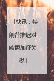 快讯：特朗普推迟对欧盟加征关税