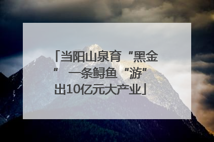 当阳山泉育“黑金” 一条鲟鱼“游”出10亿元大产业