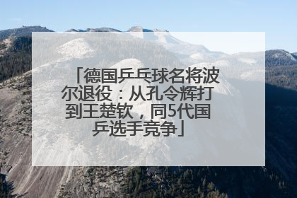 德国乒乓球名将波尔退役：从孔令辉打到王楚钦，同5代国乒选手竞争