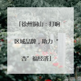 徐州铜山：打响区域品牌，助力“杏”福经济