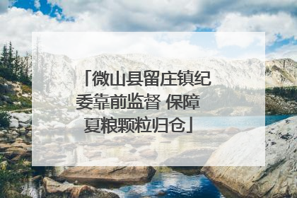 微山县留庄镇纪委靠前监督 保障夏粮颗粒归仓