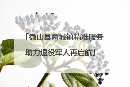 微山县两城镇精准服务助力退役军人再启航
