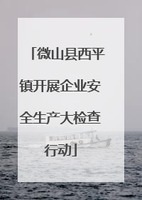 微山县西平镇开展企业安全生产大检查行动