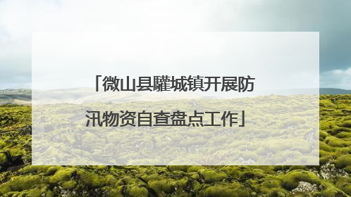 微山县驩城镇开展防汛物资自查盘点工作