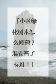 小区绿化树木怎么修剪？淮安有了标准！
