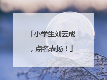 小学生刘云成，点名表扬！
