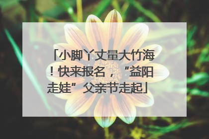 小脚丫丈量大竹海！快来报名，“益阳走娃”父亲节走起