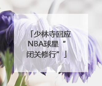 少林寺回应NBA球星“闭关修行”