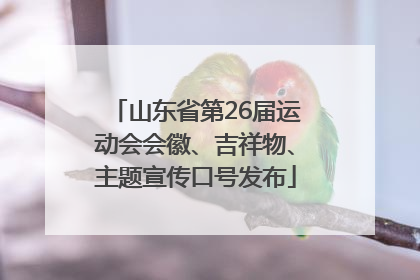 山东省第26届运动会会徽、吉祥物、主题宣传口号发布