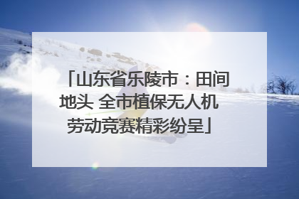 山东省乐陵市：田间地头 全市植保无人机劳动竞赛精彩纷呈