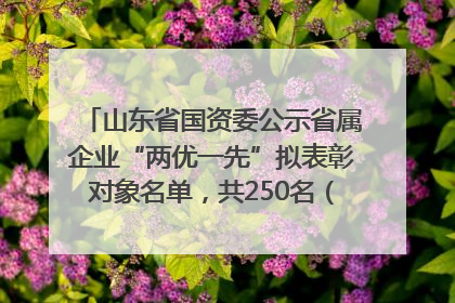 山东省国资委公示省属企业“两优一先”拟表彰对象名单，共250名（个）党员和党组织