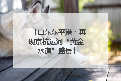山东东平港：再现京杭运河“黄金水道”盛景