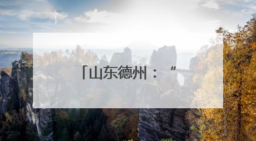 山东德州：“田间警务”为丰收保驾护航