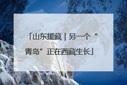 山东援藏｜另一个“青岛”正在西藏生长