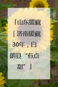 山东援藏｜济南援藏30年，白朗县“有点甜”