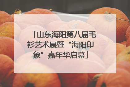 山东海阳第八届毛衫艺术展暨“海阳印象”嘉年华启幕