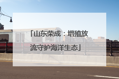 山东荣成：增殖放流守护海洋生态