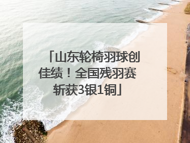 山东轮椅羽球创佳绩！全国残羽赛斩获3银1铜