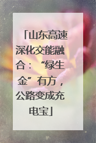 山东高速深化交能融合：“绿生金”有方，公路变成充电宝