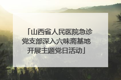 山西省人民医院急诊党支部深入六味斋基地开展主题党日活动