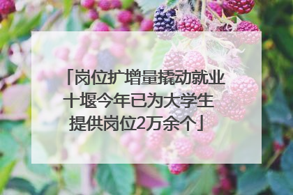 岗位扩增量撬动就业 十堰今年已为大学生提供岗位2万余个