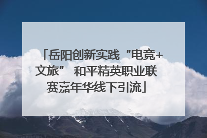 岳阳创新实践“电竞+文旅” 和平精英职业联赛嘉年华线下引流