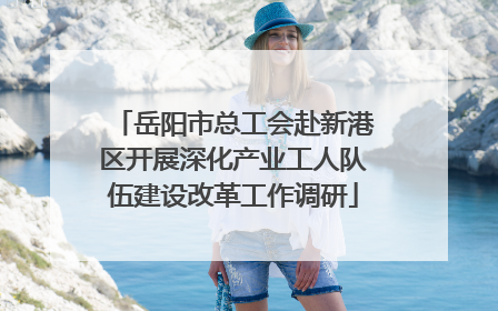 岳阳市总工会赴新港区开展深化产业工人队伍建设改革工作调研