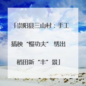 崇阳县三山村：手工插秧“慢功夫” 绣出稻田新“丰”景