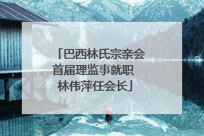 巴西林氏宗亲会首届理监事就职 林伟萍任会长