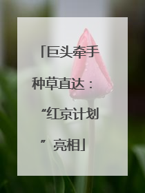 巨头牵手种草直达：“红京计划”亮相