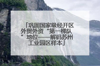 巩固国家级经开区外贸外资“第一梯队”地位——解码苏州工业园区样本