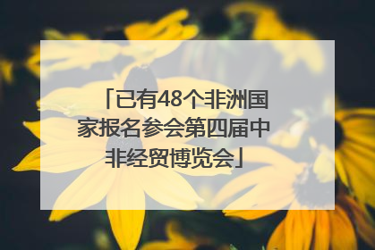 已有48个非洲国家报名参会第四届中非经贸博览会