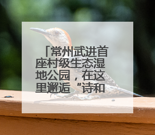 常州武进首座村级生态湿地公园，在这里邂逅“诗和远方”！