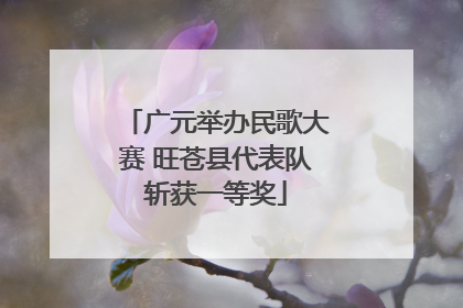 广元举办民歌大赛 旺苍县代表队斩获一等奖
