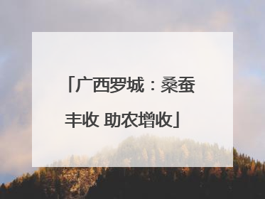 广西罗城：桑蚕丰收 助农增收