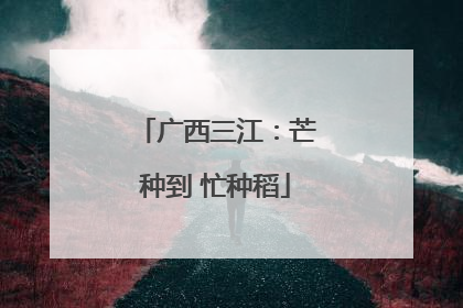 广西三江：芒种到 忙种稻