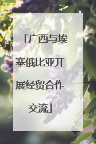 广西与埃塞俄比亚开展经贸合作交流