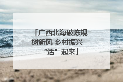 广西北海破陈规树新风 乡村振兴“活”起来
