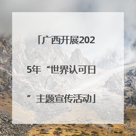 广西开展2025年“世界认可日”主题宣传活动