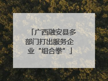 广西融安县多部门打出服务企业“组合拳”